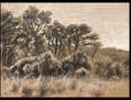 Paisaje 1