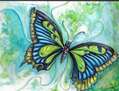 Toxic Butterfly