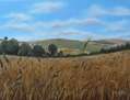 Campos de Castilla