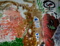 ESCAPEING FROM SURGERY !!! F3 172/2011