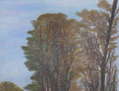 Arboleda