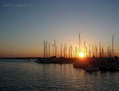 08-11.137 - Puerto de Torrevieja - Noviembre 2008 -