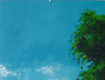 MONTE-RINCON 1