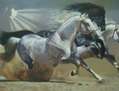 estampida en arena