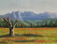 Muntanyes de Montserrat i arbres