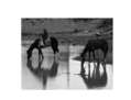Reflejos