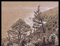 Vista al mar