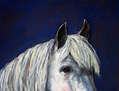 Retrato de caballo