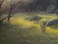 LOBO SOLITARIO