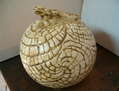 armadillo-2