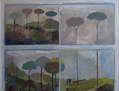 ÁRBOLES COMO NUBES EN EL BOSQUE