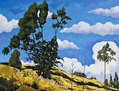 Paisaje en Picaihua