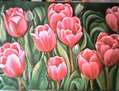 Fucsia tulips