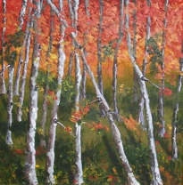 naturaleza xvi