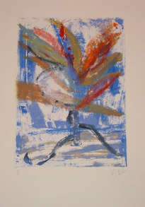 strelitzia