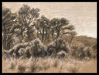 paisaje 1