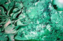 butterfly in the spiral