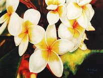 exotic flowers
