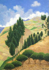 paisaje andino provincia del cañar
