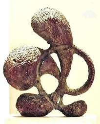 ¨brote¨