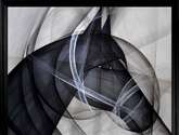 caballo gris