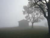 niebla