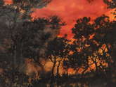 paisaje atardeciendo