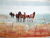 caballos salvajes
