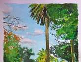 palmeras en osorio