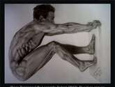 serie tensiones | estudio anatomico