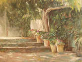 macetas en un patio