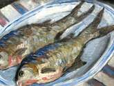 pescado