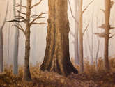niebla en el bosque