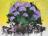 ortensie (hydrangeas)