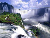 aves en iguazu