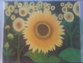 girasoles