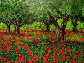 mayo florido en bellpuig d´urgell