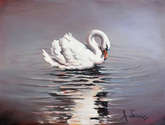swan