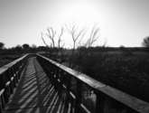 puente