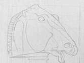 caballo 1 - dibujo