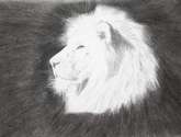 león