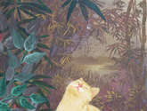 gato y gota