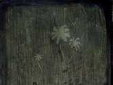 nocturno 1