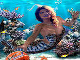la sirena del estudiantes
