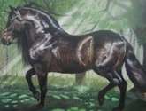 caballo consentido