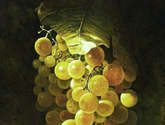 uvas