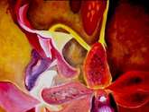 orquideas rojas