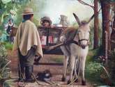 los lecheros