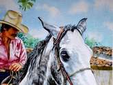 caballo pinto