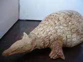 armadillo-3